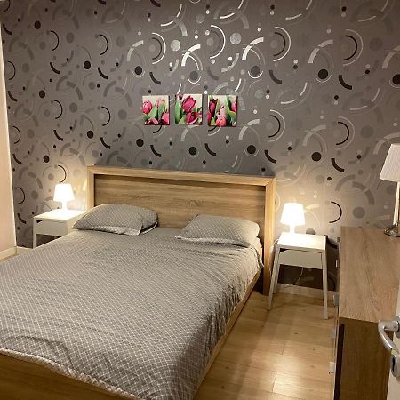 克卢日-纳波卡Igi Red Flat With Free Private Parking公寓 外观 照片