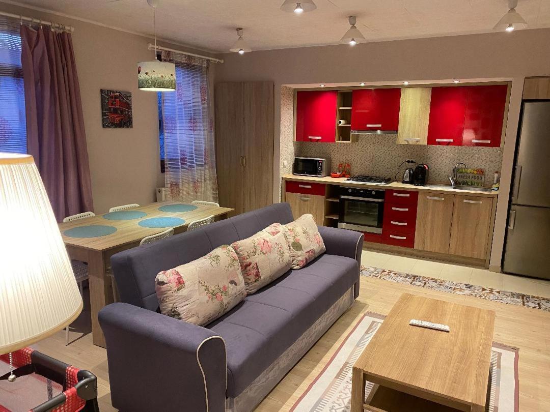 克卢日-纳波卡Igi Red Flat With Free Private Parking公寓 外观 照片